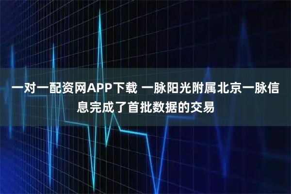 一对一配资网APP下载 一脉阳光附属北京一脉信息完成了首批数据的交易