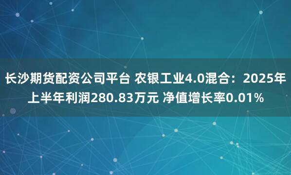 长沙期货配资公司平台 农银工业4.0混合：2025年上半年利润280.83万元 净值增长率0.01%