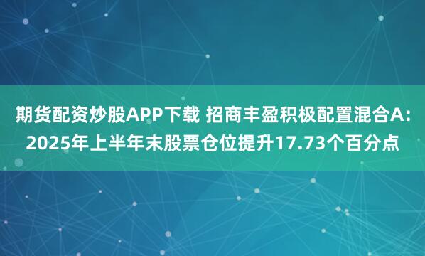 期货配资炒股APP下载 招商丰盈积极配置混合A：2025年上半年末股票仓位提升17.73个百分点