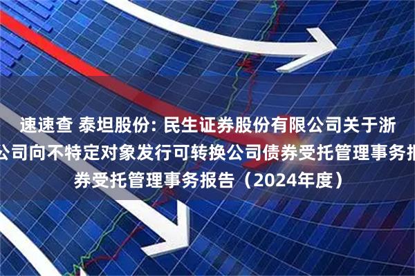 速速查 泰坦股份: 民生证券股份有限公司关于浙江泰坦股份有限公司向不特定对象发行可转换公司债券受托管理事务报告（2024年度）