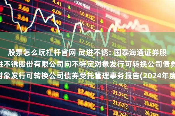 股票怎么玩杠杆官网 武进不锈: 国泰海通证券股份有限公司关于江苏武进不锈股份有限公司向不特定对象发行可转换公司债券受托管理事务报告(2024年度)
