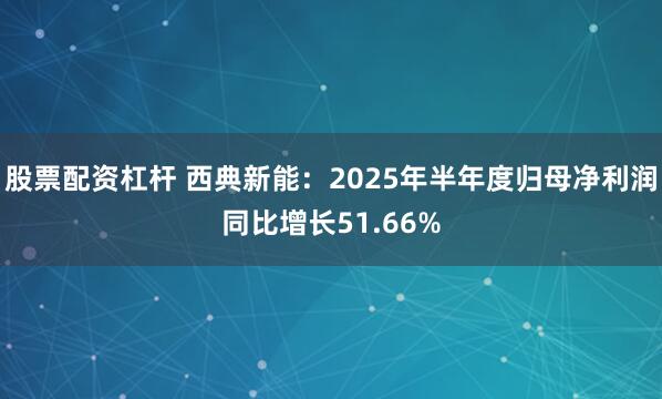 股票配资杠杆 西典新能：2025年半年度归母净利润同比增长51.66%