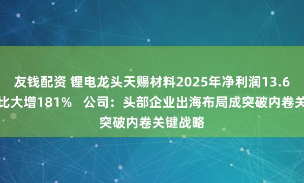 友钱配资 锂电龙头天赐材料2025年净利润13.6亿元同比大增181%   公司：头部企业出海布局成突破内卷关键战略
